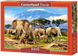 Puzzle 1000el - Hurtownia Zabawek Poznań